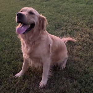 26 041 Lexi