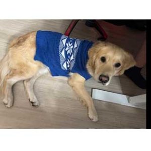26 059 Sonny