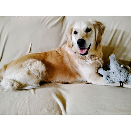 26 026 Lily