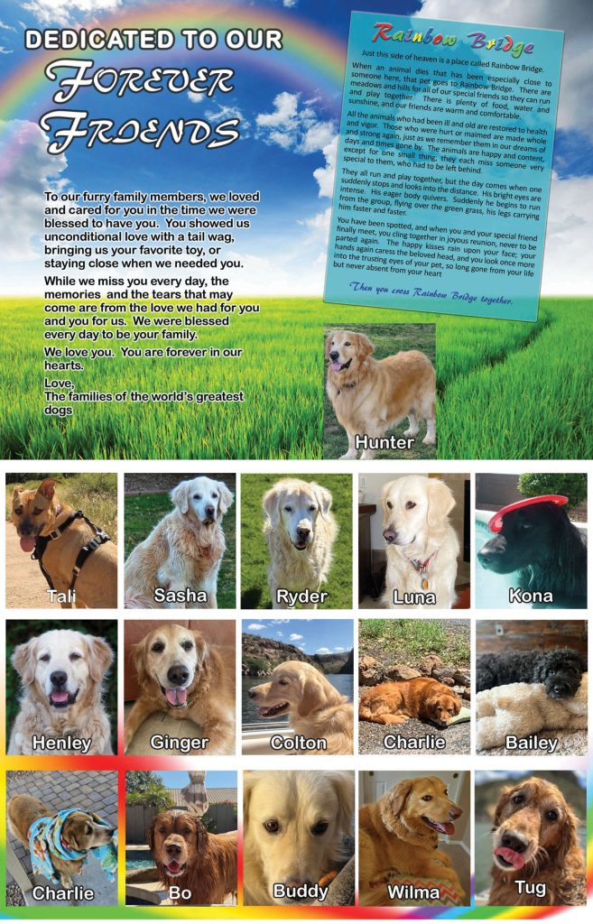 Bridge Dogs for 2027 calendar