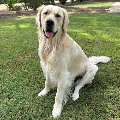 26 042 Georgie now Murphy