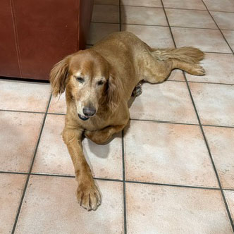 26 044 Rusty