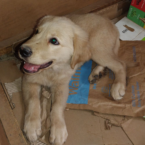 26 077 Sally