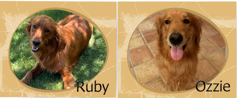 ruby and ozzie