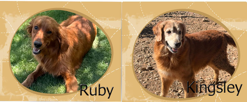 ruby and kingsley