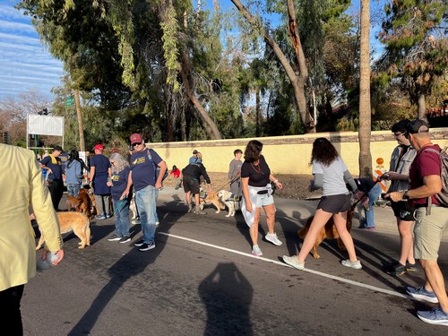 Fiesta-Bowl-Parade-2025-6-10