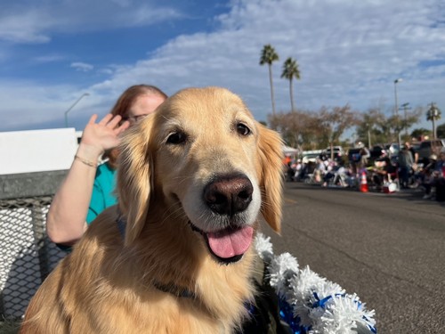 Fiesta-Bowl-Parade-2025-6-11