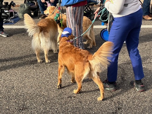 Fiesta-Bowl-Parade-2025-6-17