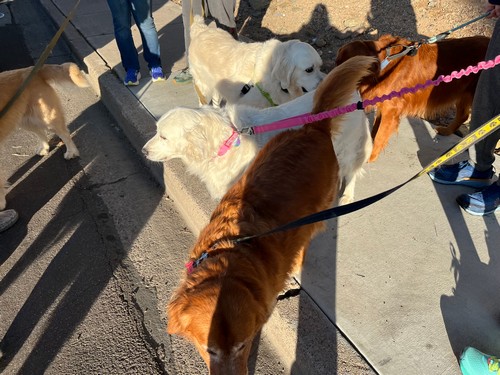 Fiesta-Bowl-Parade-2025-6-3