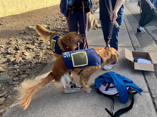 Fiesta-Bowl-Parade-2025-6-9