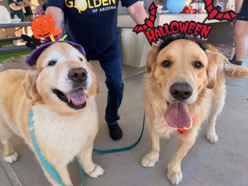 howl-o-ween-pawty-001