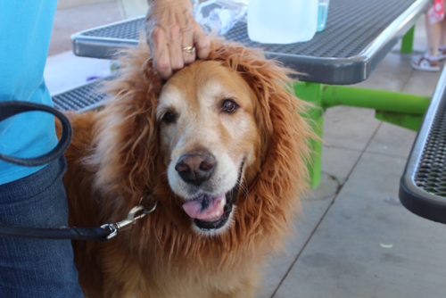 howl-o-ween-pawty-006